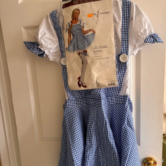 SOLD Dorothy Costume - Picture 2 of 12